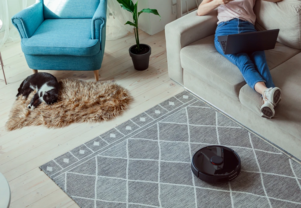 robotic vacuum cleaner with mapping